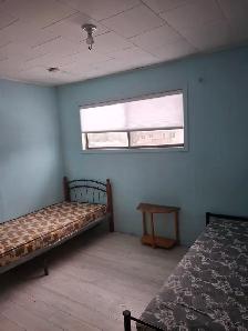 Single and Sharing rooms for male student available - Photo 3