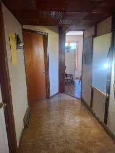 Sharing  and single rooms for a male student
