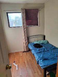 Sharing  and single rooms for a male student - Photo 4