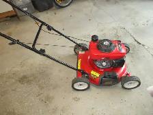lawnmower - Photo 2