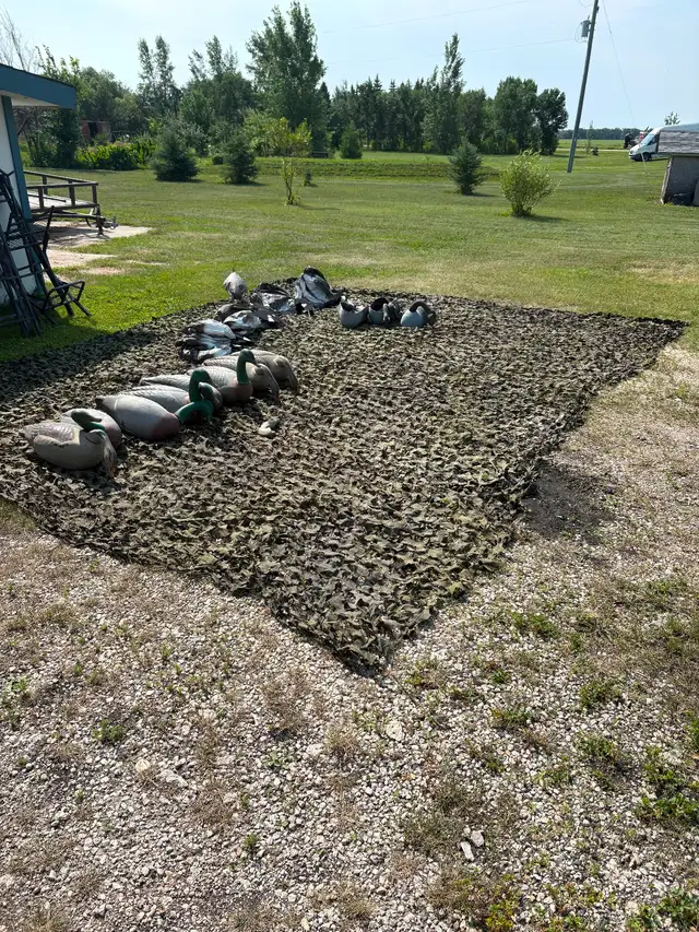 Hunting Decoys