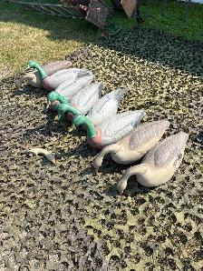 Hunting Decoys - Photo 2