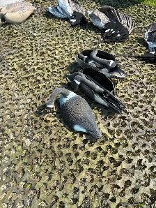 Hunting Decoys - Photo 3