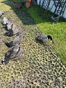 Hunting Decoys - Photo 4