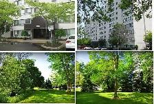 Clean, Comfortable 1 Bedroom Apartment – 1600 Adelaide ST. North
