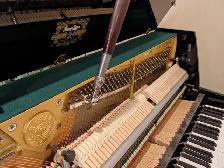 Piano tuning and repair