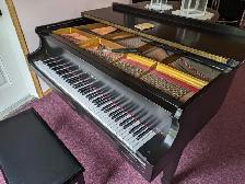 Piano tuning and repair - Photo 3