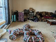 2 Bed 1.5 Bath Apt for Sublease - Photo 5