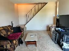 2 Bed 1.5 Bath Apt for Sublease - Photo 7