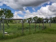 Acerage for sale! - Photo 3