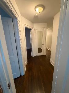 Oversized 2 Bedroom Apartment in Forest Hill Village - Photo 7