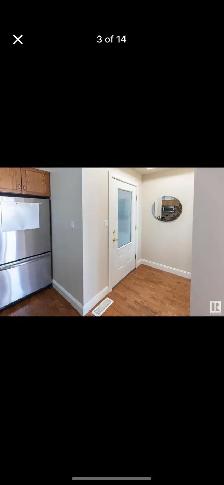 apartment for rent
