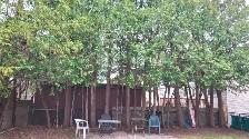 $789/MONTH LARGE 165 SQ FT ROOM — ALL INCLUSIVE - Photo 10