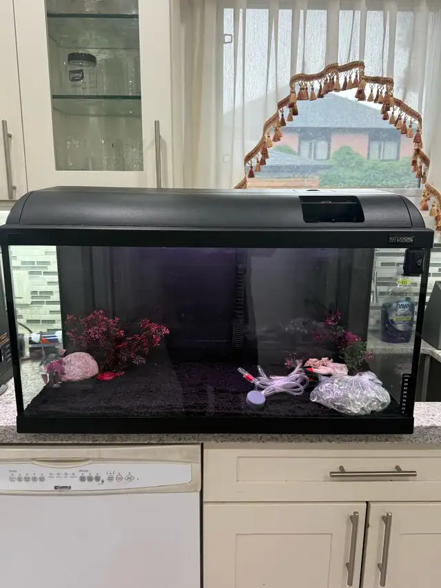25 Gallon Aquarium