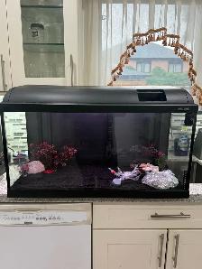 25 Gallon Aquarium