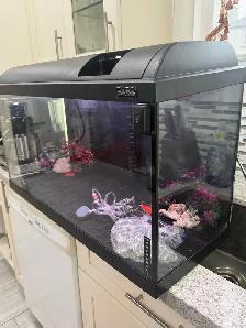 25 Gallon Aquarium - Photo 2