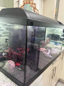 25 Gallon Aquarium - Photo 3