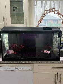 25 Gallon Aquarium - Photo 9