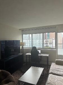 Furnished 1 bedroom sublet - Available now - Photo 3