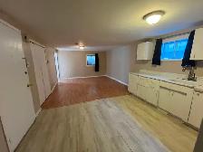 Bright, spacious 720 sq ft one-bedroom apartment – September 1st