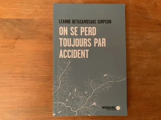 ROMAN ON SE PERD TOUJOURS PAR ACCIDENT COMME UN NEUF!
