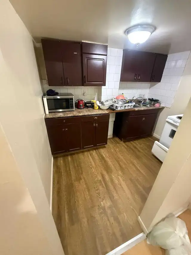 from sep 01 basement for rent