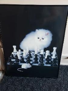 CADRES DE CHATS DIFFÉRENTES GRANDEURS