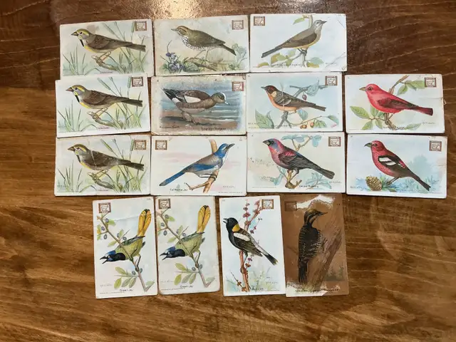 15. 1938 Church & Dwight "USEFUL BIRDS OF AMERICA" Cards !