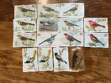 15. 1938 Church & Dwight "USEFUL BIRDS OF AMERICA" Cards !