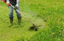 Lawn Mowing Services – Affordable & Reliable! - Photo 2