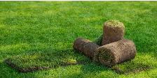Fresh Sod Installation – Transform Your Yard! - Photo 4