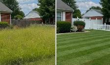 Lawn Mowing Services – Affordable & Reliable! - Photo 3