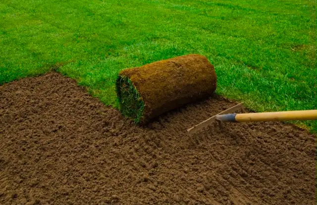 Fresh Sod Installation – Transform Your Yard!