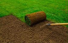 Fresh Sod Installation – Transform Your Yard!
