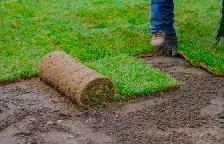 Fresh Sod Installation – Transform Your Yard! - Photo 4