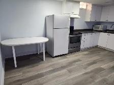 ONE BEDROOM BASEMENT FOR RENT - Photo 6