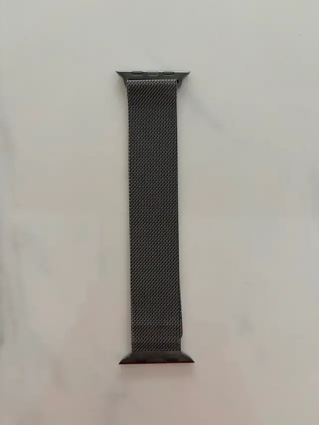 Apple magnetic watch band