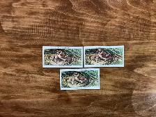 3. 1937 Players Cigarettes REED BUNTING Cards ! - Photo 3