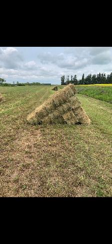 Square hay bales for sale