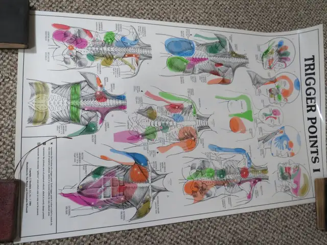 TRIGGAER POINT CHARTS