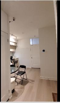 Furnished LUXURY Room in NEW condo M city for female/gym /Square - Photo 5