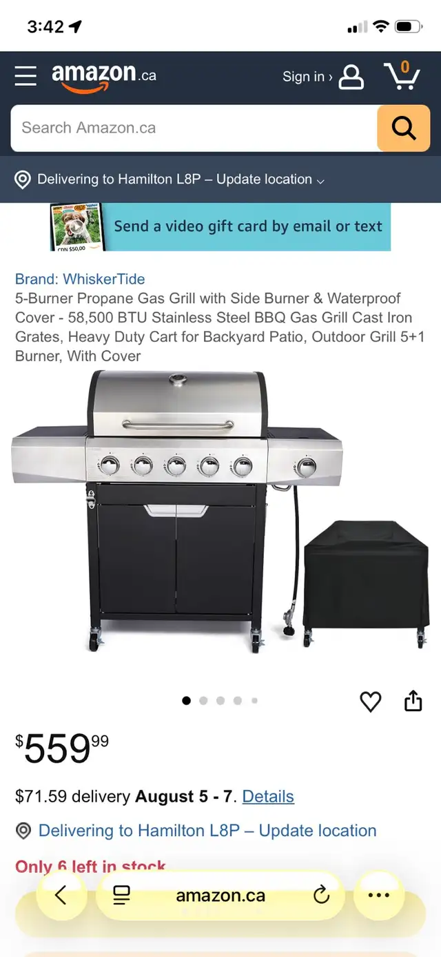 backyard grille BBQ