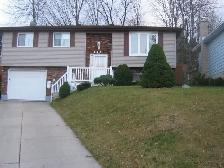 Basement Studio for Rent! - Photo 6