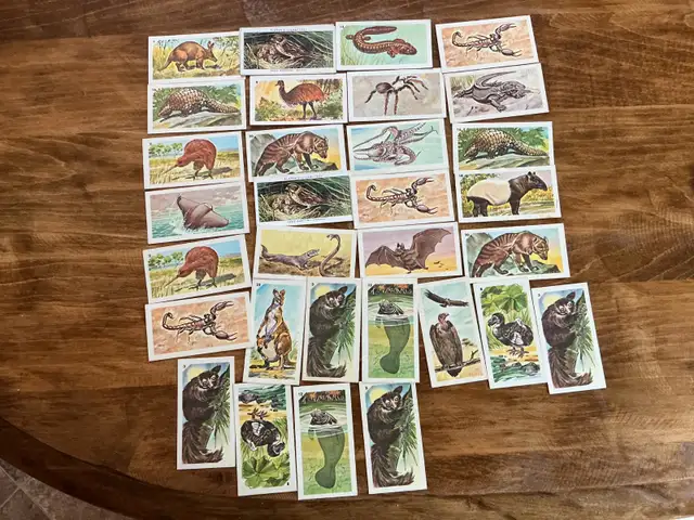 31. 1962 NABISCO Nature Untamed & Exotic Animals Cards !