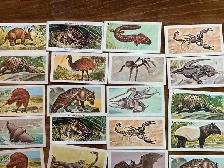 31. 1962 NABISCO Nature Untamed & Exotic Animals Cards ! - Photo 2