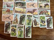 31. 1962 NABISCO Nature Untamed & Exotic Animals Cards ! - Photo 3