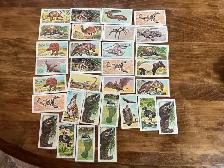 31. 1962 NABISCO Nature Untamed & Exotic Animals Cards ! - Photo 4