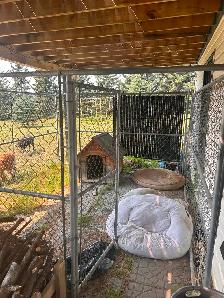 Dog Fence - Chain Fence - 10'x12'x6' - Photo 3
