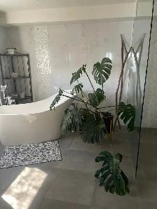 Squeaky Clean Home Services - Photo 10