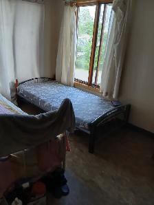 Sharing and single room  for rent - Photo 4
